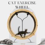 Cat Wheels Profile Picture