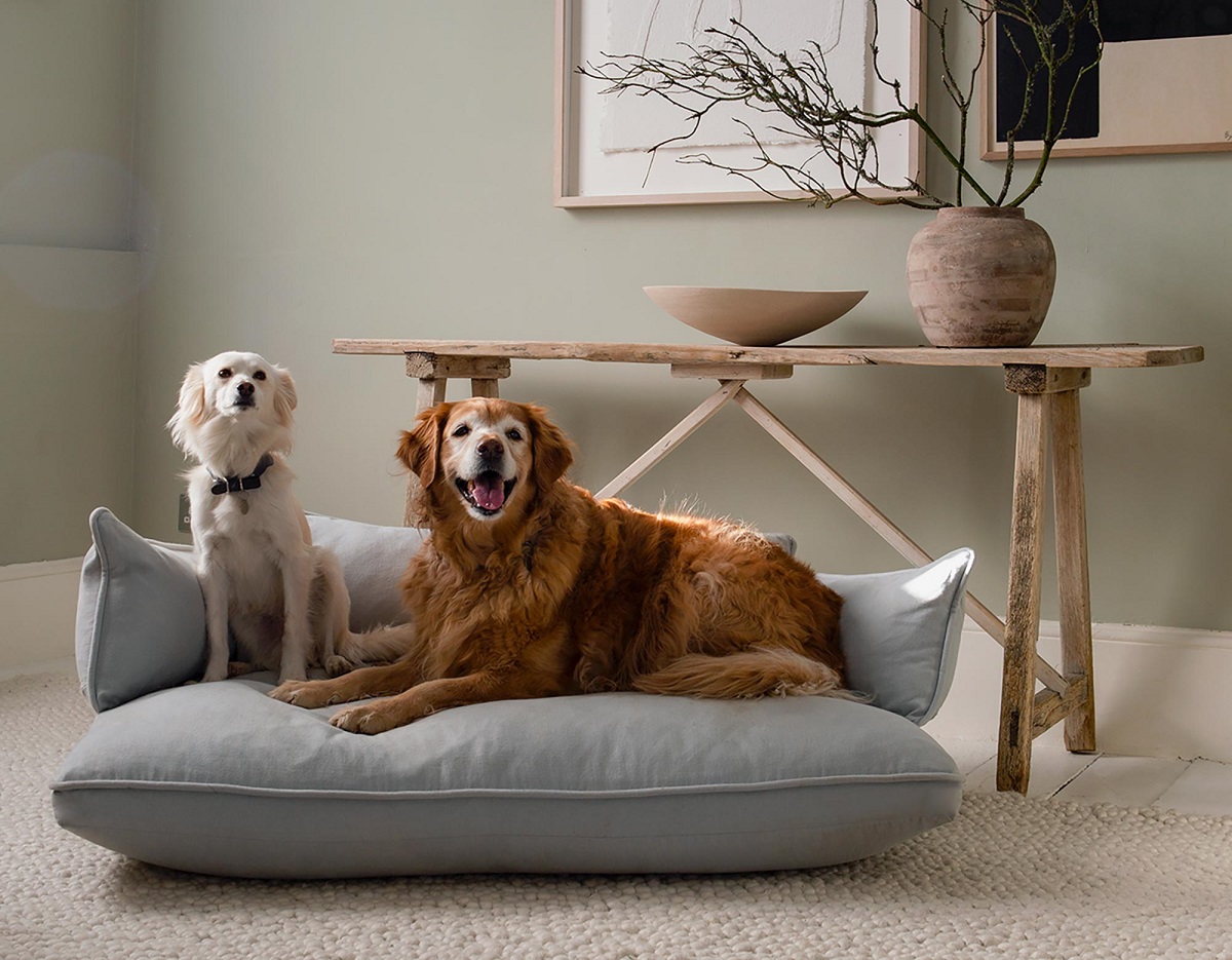 Dog Bed Covers: Say Goodbye to Messy and Smelly Dog Beds – AllSphere Insights