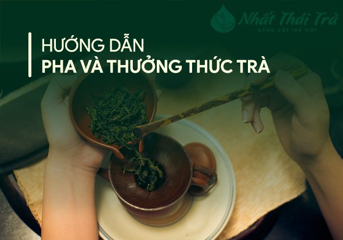 Uống chè đúng cách và khoa học câp nhật mới nhất