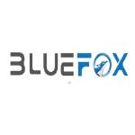 bluefoxto Profile Picture