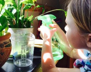 Exploring the Benefits: Half Day Preschool Programs in Fort Mill | by villagemontessori | Feb, 2024 | Medium