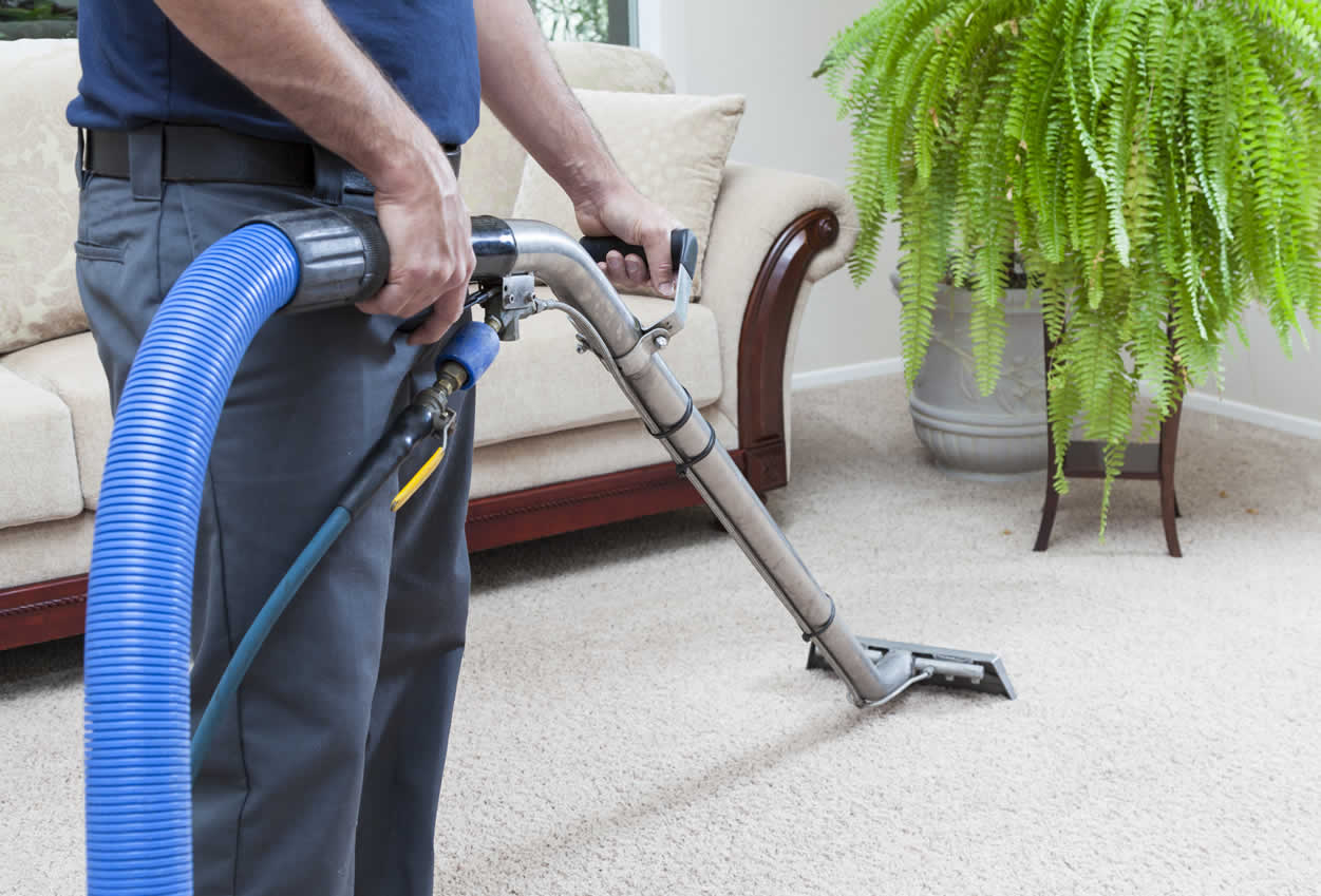 Replacing Rug After Water Damage: What Does Expert Rug Cleaners in Toronto Say About This - StageHubs - Improve Your Conversations