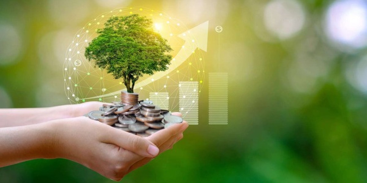 Green Finance 101: Investing in a Sustainable Tomorrow