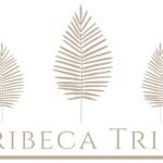 Tribeca Tribe Profile Picture