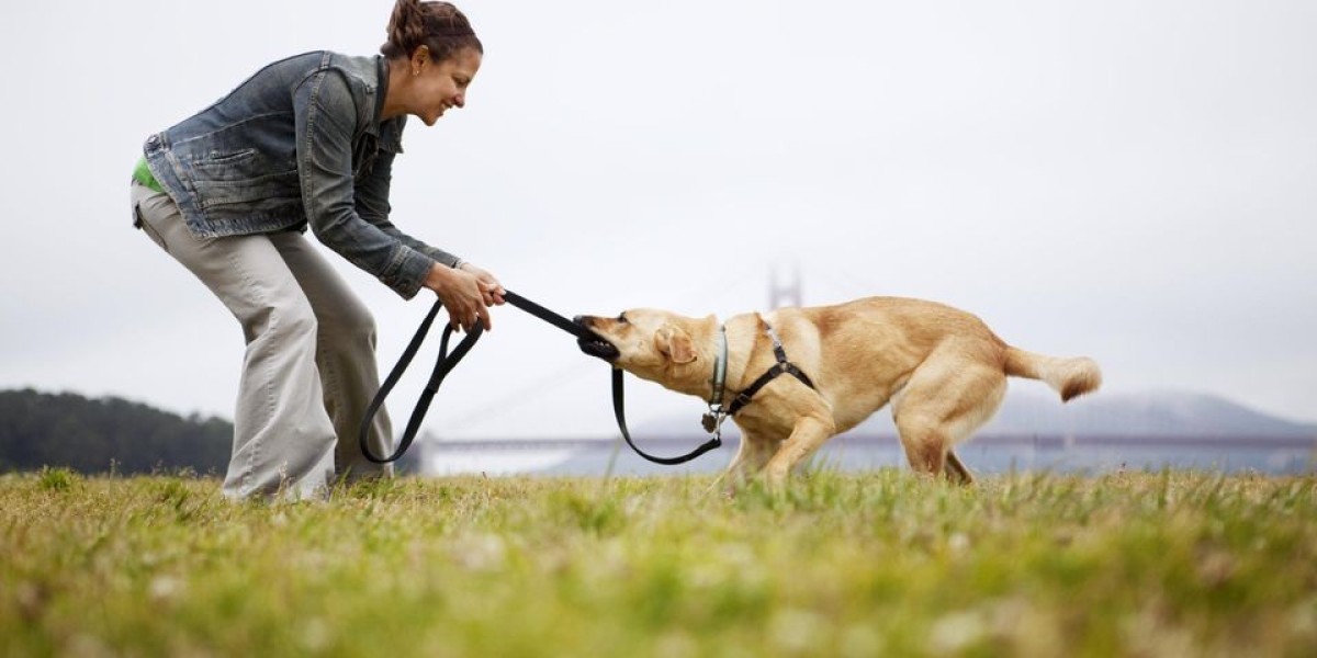 Decoding Doggy Signals: Understanding Your Pup's Body Language