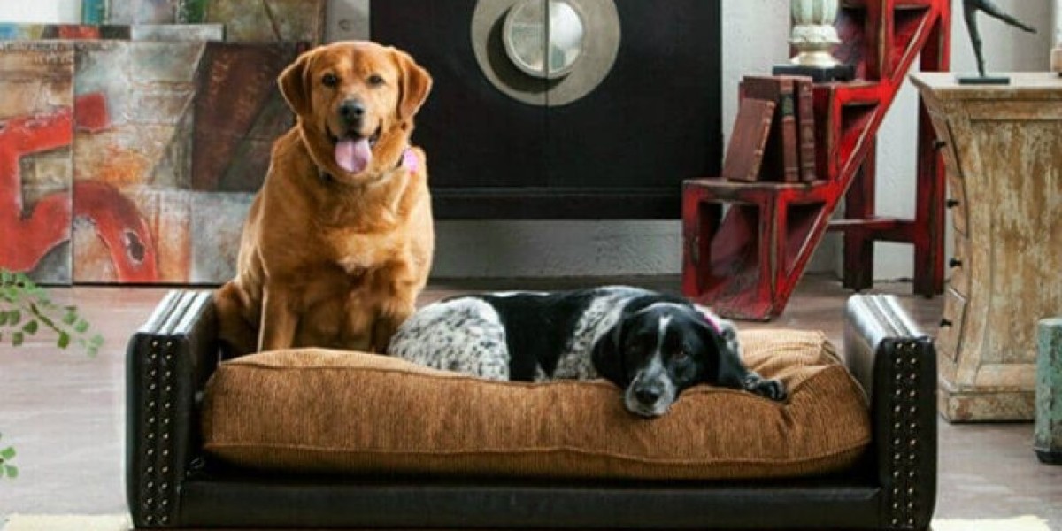 A Haven for Furry Friends: Creating a Pet-Friendly Home