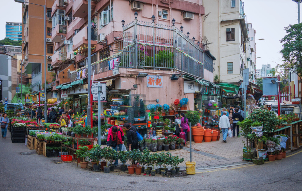 The Enchanting Yuen Po Bird Market in Hong Kong