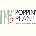 poppinsplants Profile Picture