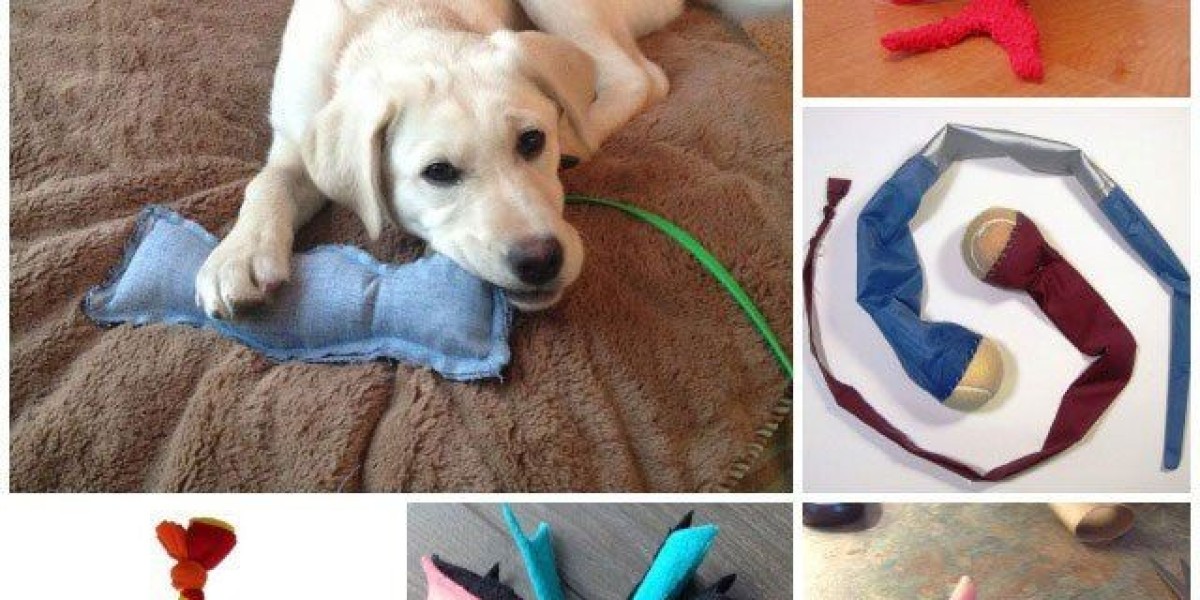 Crafting Joy: DIY Pet Toys for Budget-Friendly Fun