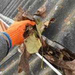 Reliable Gutter Cleaning Melbourne Profile Picture