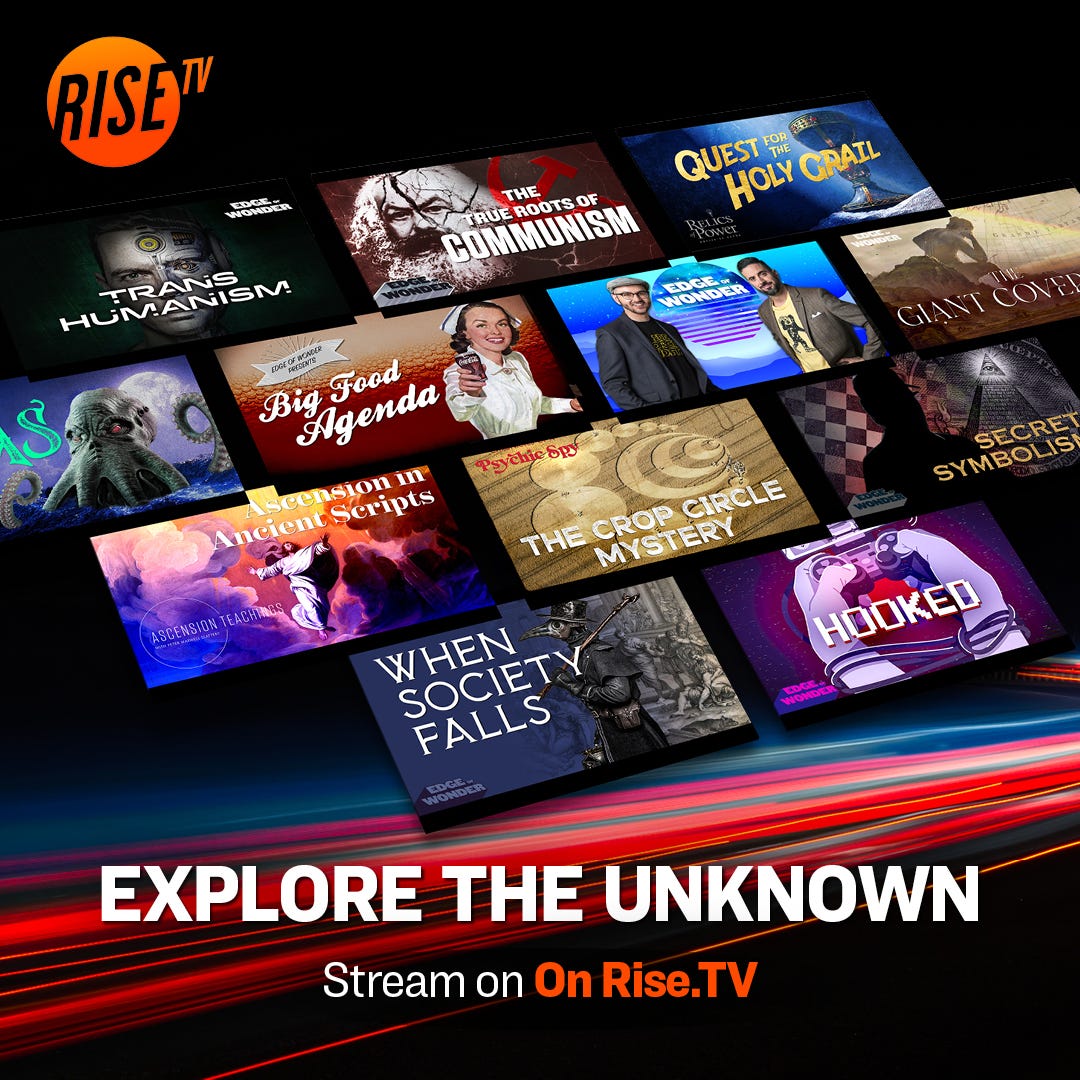 Dolphins are military trained by the US Navy | To Keep The Rivals Away | by Rise Tv | Feb, 2024 | Medium