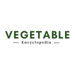 Vegetables Encyclopedia Profile Picture
