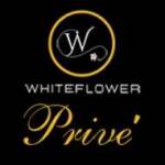 Prive By White Flower Profile Picture