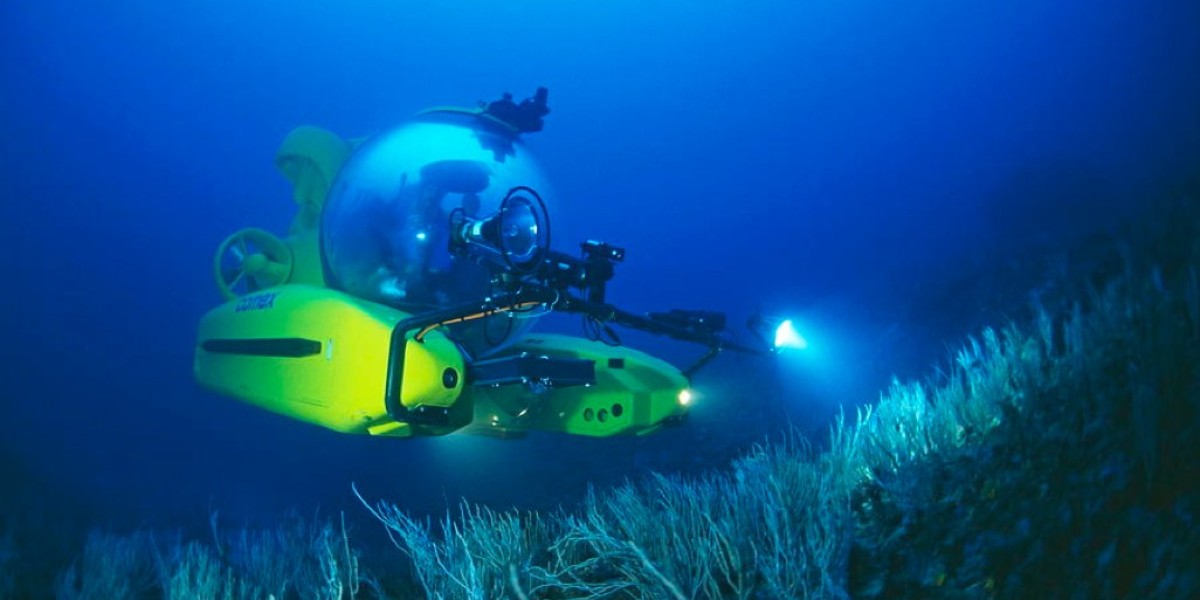 The Ocean's Enigma: Delving into Deep-Sea Mysteries and Conservation Endeavors