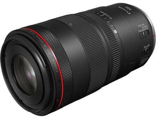 6 Reasons You Need a Canon RF 100mm Macro Lens in Your Camera Bag