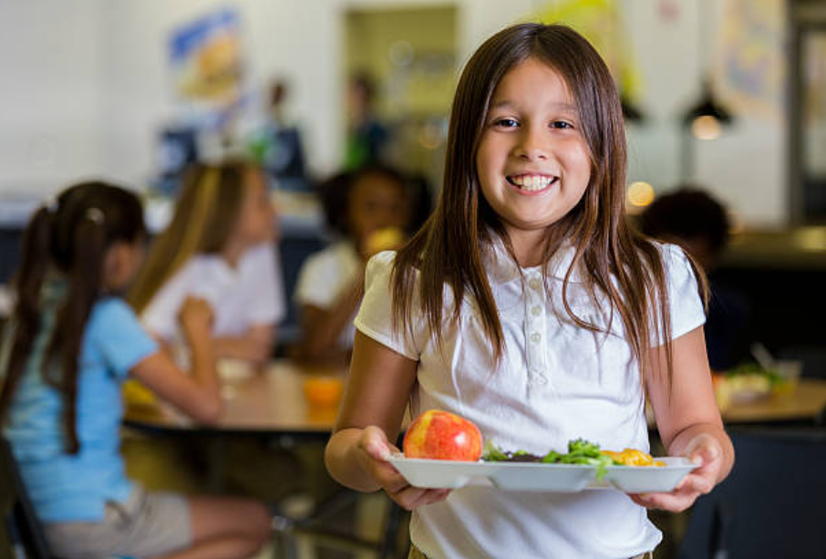 Revolutionizing School Lunch Management: School Lunch Software » WingsMyPost