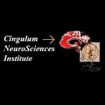 Cingulum Neurosciences Institute - We expolre the structure, connections, functions aandd diseases of cingulate cortex. The current focus is on adolescent physical abuse, As pain evokes stress, our model of physical abuse engages both pain and stress. The model employ adolescent rabbits that receive short bouts of noxious colorectal distension over 2-3 weeks. - Manlius, United States | BizInfe