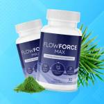 gail jarosz Profile Picture