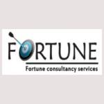 Fortune Visa Services profile picture