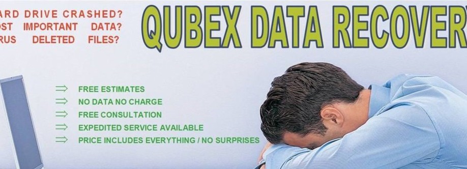 Qubex Data Cover Image