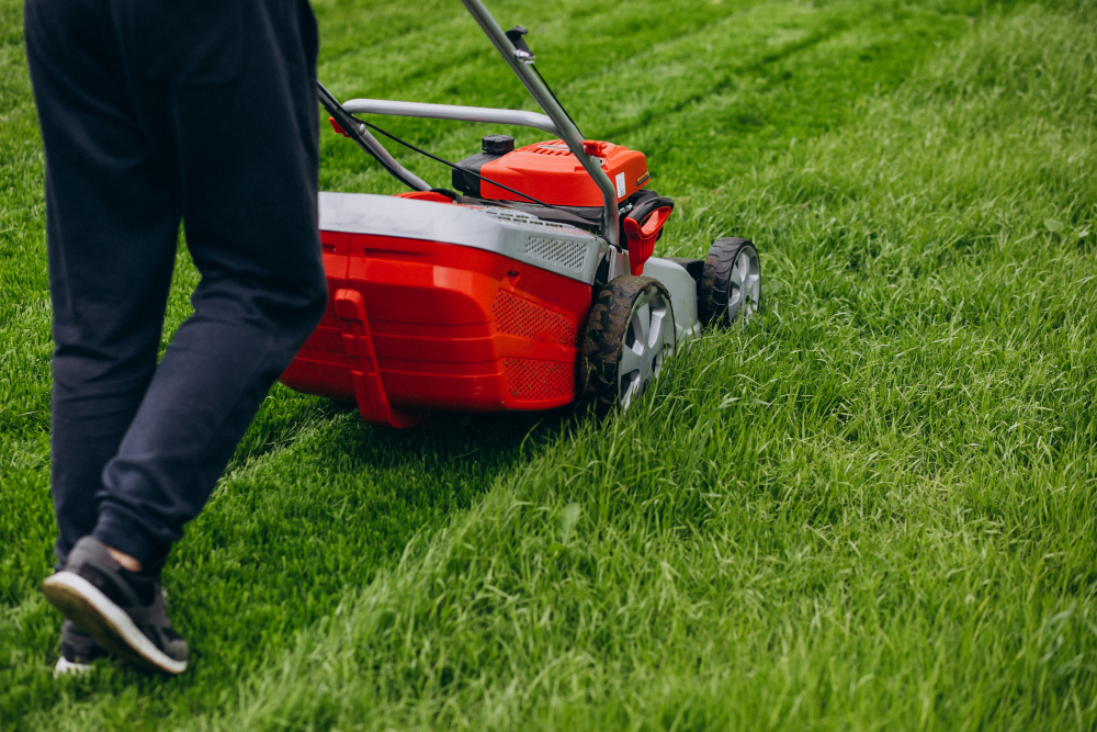How Can a Lawn Corer Help in Rejuvenating Your Garden? Conclud
