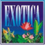 Exoticabeach cottages Profile Picture