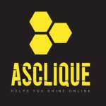 Asclique Innovation and Technology Profile Picture