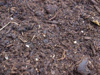 Organic Garden Compost | Blackwood LFS