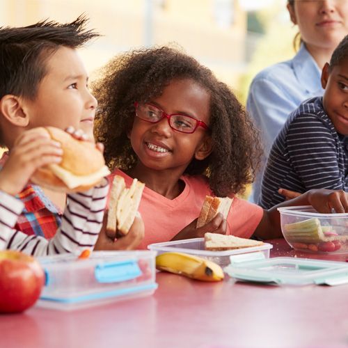 Child Care Meal Planning Consultancy | HSFC Services