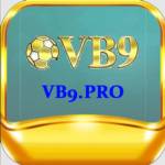 vb9 pro Profile Picture
