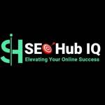 SEO Hub IQ Profile Picture