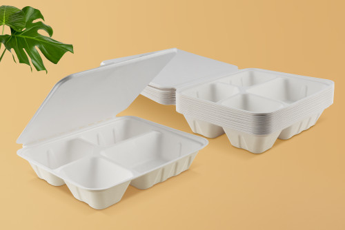 Choosing Sustainability: Eco-Friendly Food Packaging Solutions
