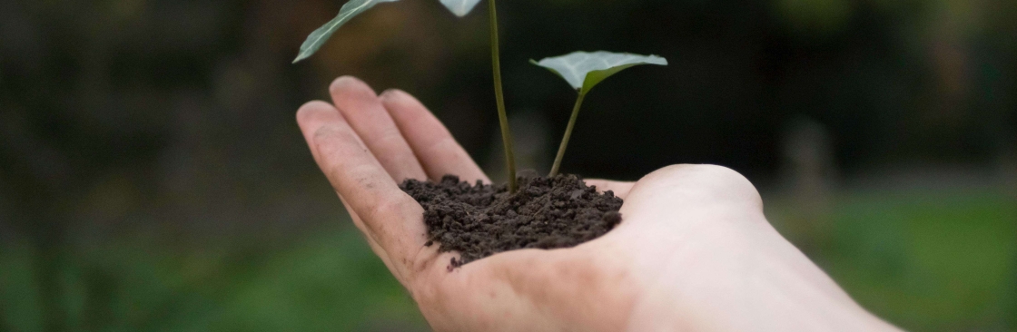 megmiller Cover Image