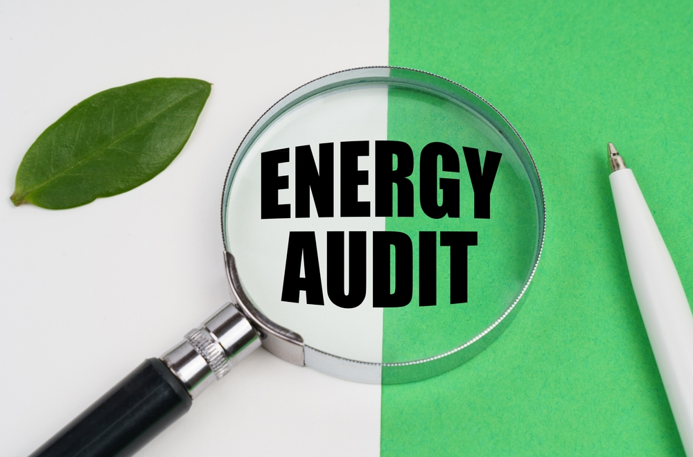 Green Future with Energy Audits for Businesses