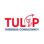Tulip Overseas Consultancy Profile Picture