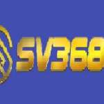sv368vnapp Profile Picture