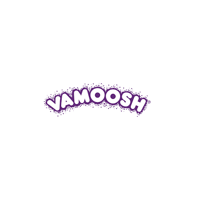 Vamoosh Pet Hair Remover: Your Solution for a Fur-Free Home | TechPlanet