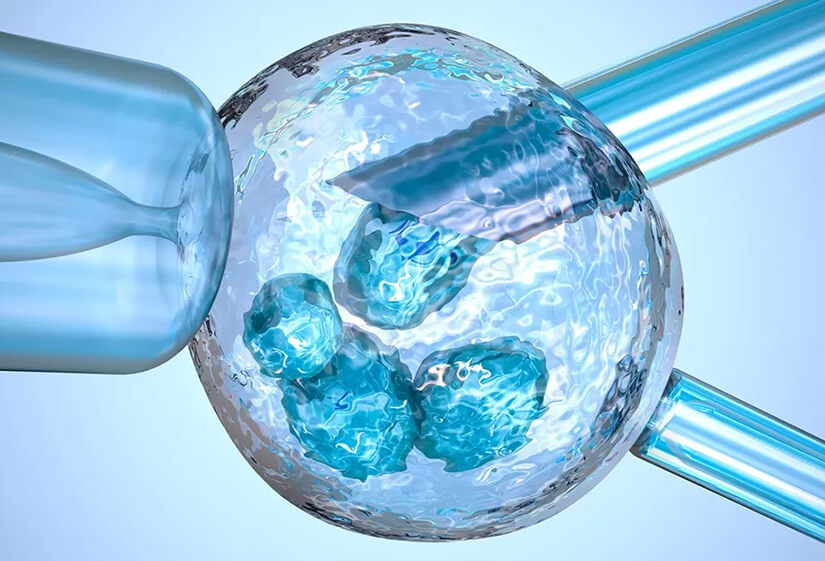 The Role of Genetic Testing in IVF