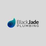 Plumbing Burleigh Heads Black Jade Plumbing Profile Picture