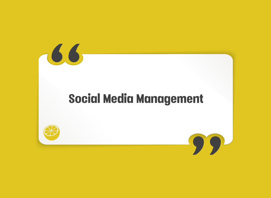 A Results-Driven Social Media Marketing Cyprus- Lemonade