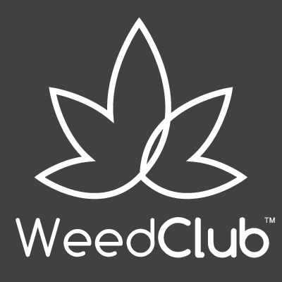 WeedClub | M. C. | Unlocking Success: Proximately analyzing the Accounting Firms Vaughan