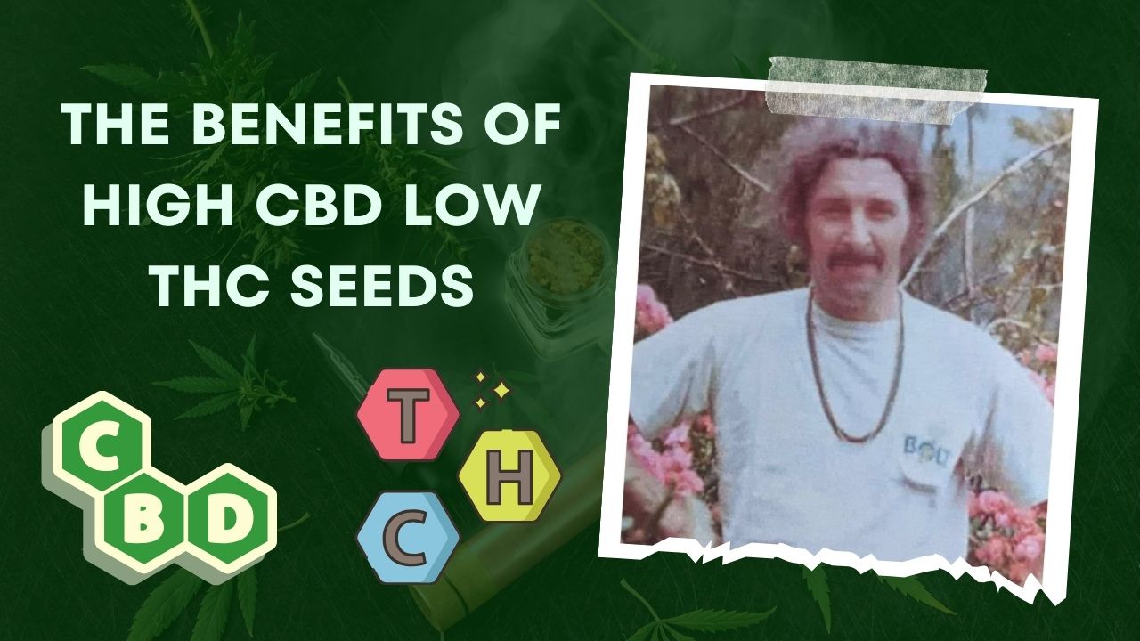 The Benefits of High CBD Low THC Seeds - The Johnny Seeds Bank