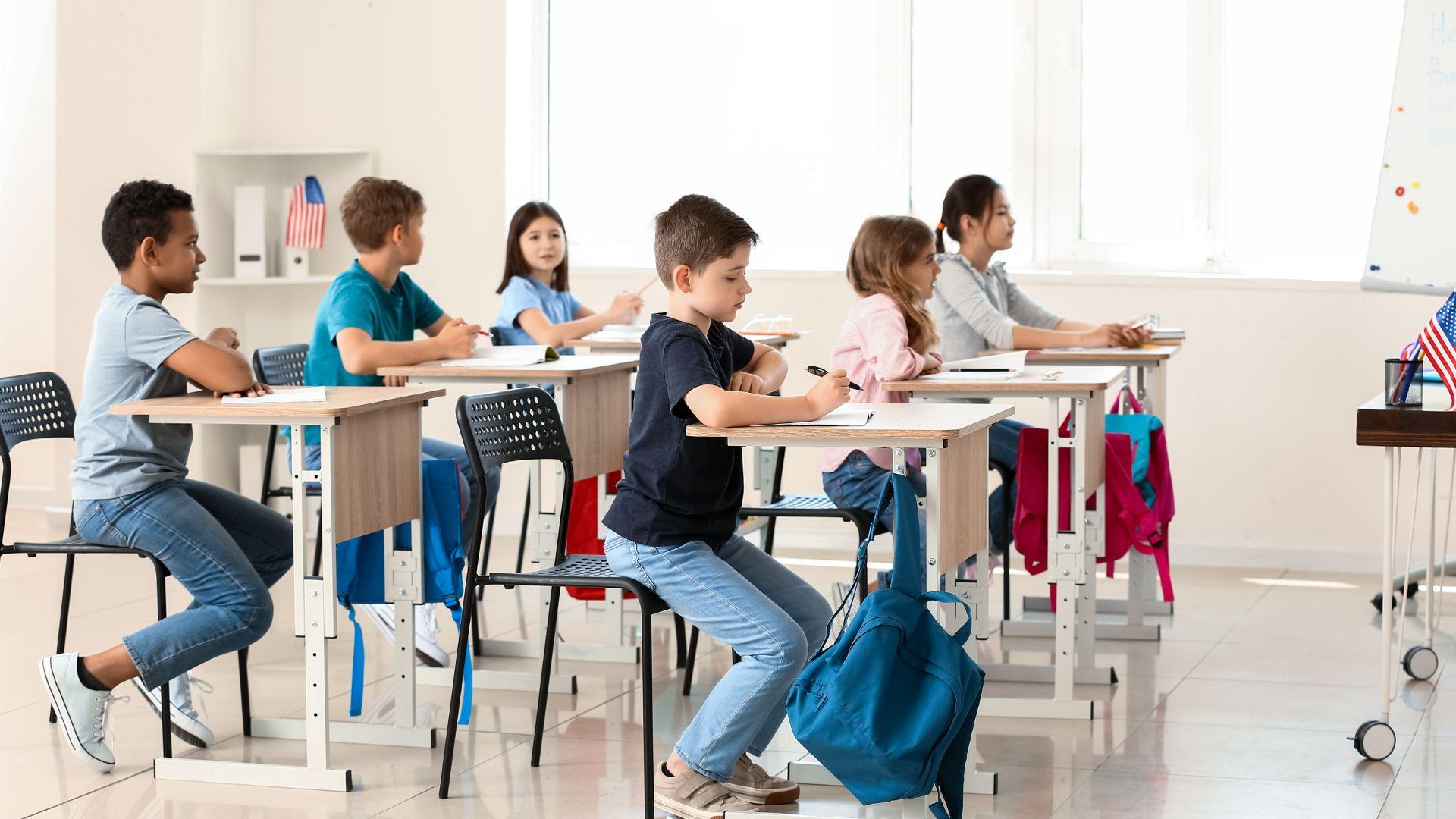 Learn French the Fun Way with Our French Immersion Classes!