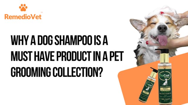 Why A Dog Shampoo Is A Must Have Product In a Pet Grooming Collection? | PPT