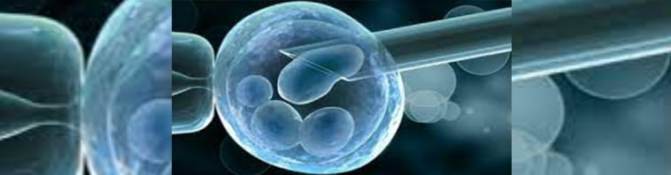 Discover Excellence in Pre-implantation Genetic Diagnosis (PGD/PGS) with IVF in India | Advanced Fertility & Gynecology Centre