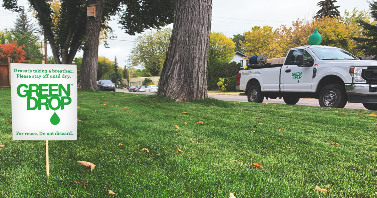 Green Drop: The Best Lawn & Tree Care Services in Canada