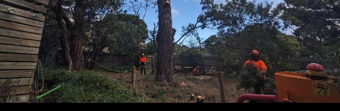 Ocean Road Tree Services Cover Image