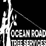 Ocean Road Tree Services profile picture