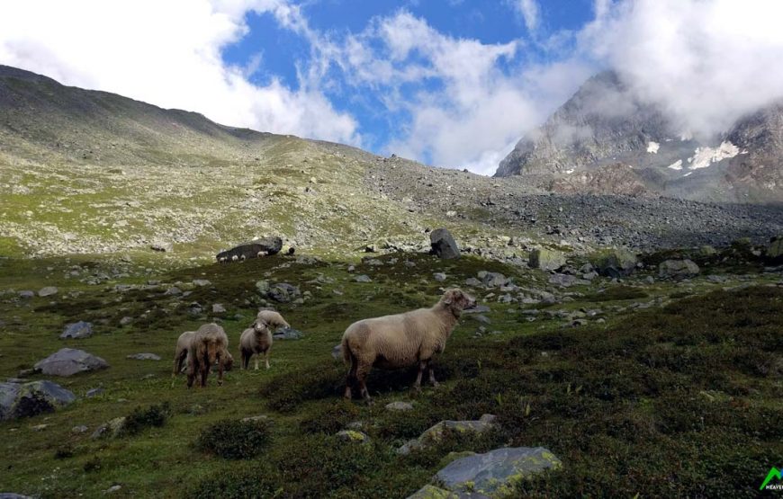 Manimahesh Yatra: A Soulful Trek