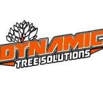 Dynamictreesolutions Profile Picture